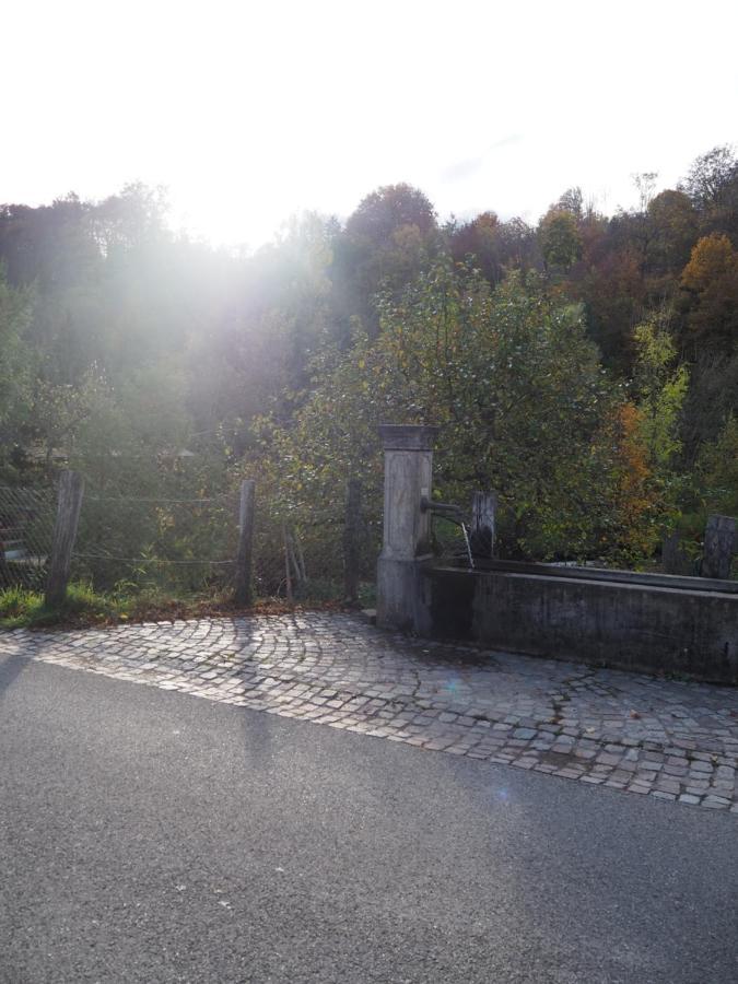 Ferienwohnung Dinkelbergblick Wehr  Kültér fotó